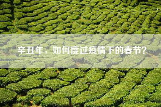 辛丑年，如何度过疫情下的春节？