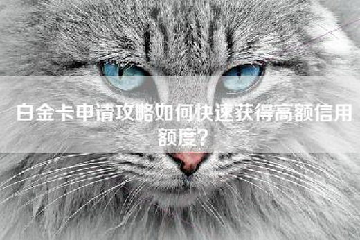 白金卡申请攻略如何快速获得高额信用额度？