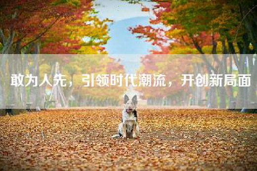 敢为人先，引领时代潮流，开创新局面