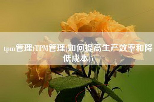 tpm管理(TPM管理(如何提高生产效率和降低成本))
