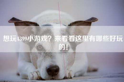 想玩4399小游戏？来看看这里有哪些好玩的！