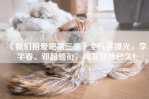 《我们相爱吧第三季》全阵容曝光，李宇春、邓超领衔，网友期待已久！