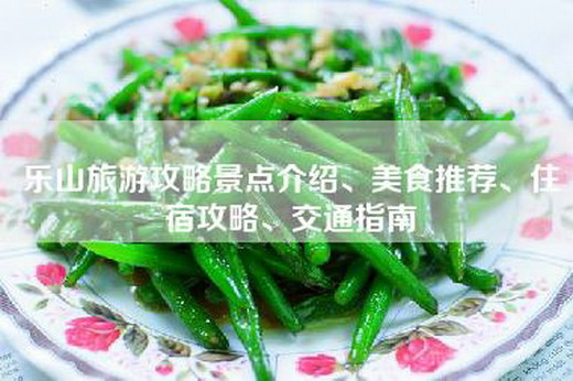 乐山旅游攻略景点介绍、美食推荐、住宿攻略、交通指南