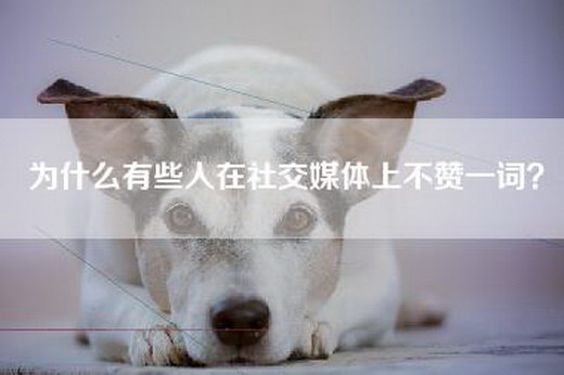 为什么有些人在社交媒体上不赞一词？