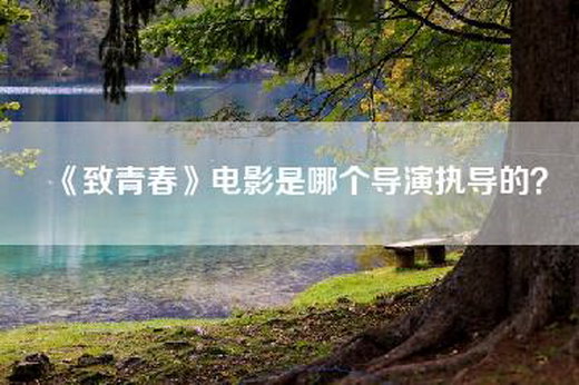《致青春》电影是哪个导演执导的？