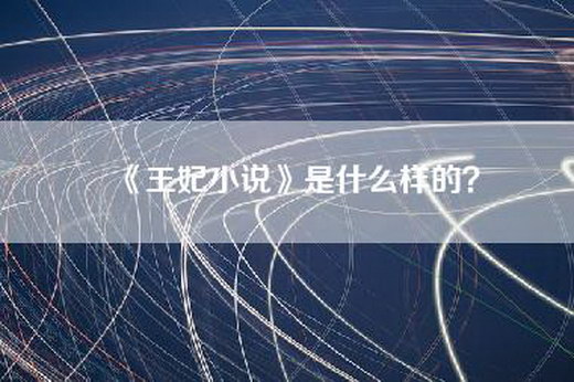 《王妃小说》是什么样的？