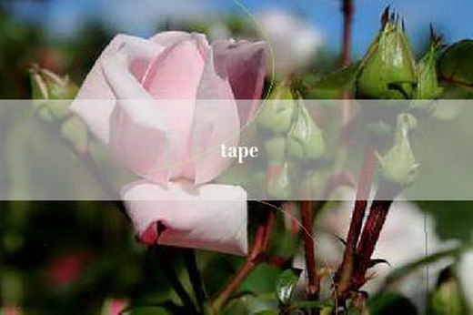 tape