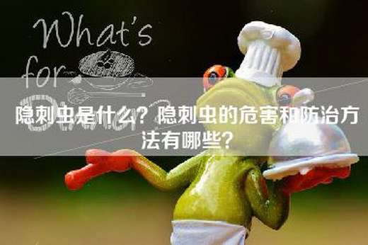 隐刺虫是什么？隐刺虫的危害和防治方法有哪些？