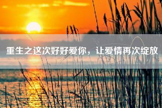 重生之这次好好爱你，让爱情再次绽放