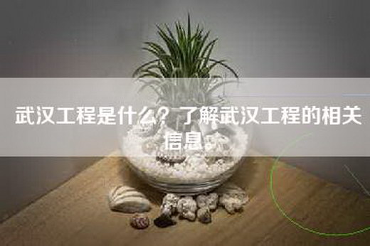 武汉工程是什么？了解武汉工程的相关信息。