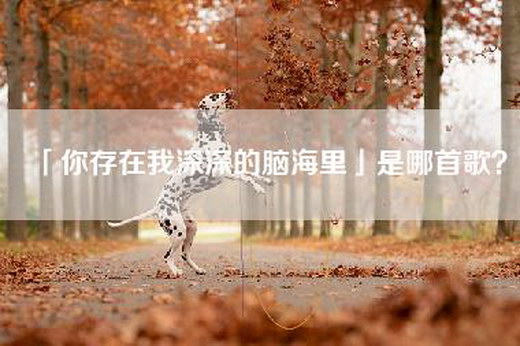 「你存在我深深的脑海里」是哪首歌？