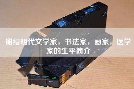 谢缙明代文学家，书法家，画家，医学家的生平简介