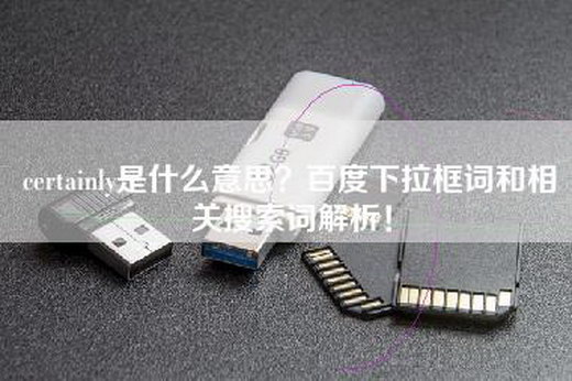certainly是什么意思？百度下拉框词和相关搜索词解析！