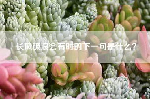 长风破浪会有时的下一句是什么？