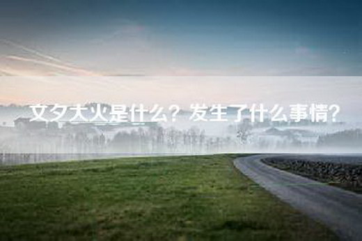 文夕大火是什么？发生了什么事情？