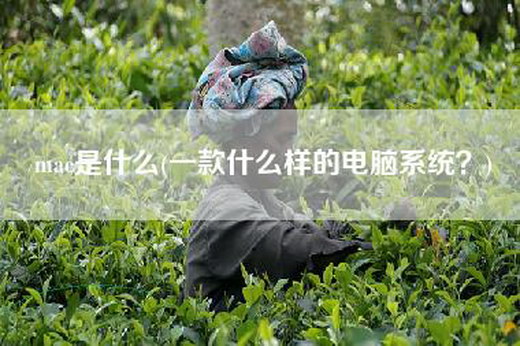 mac是什么(一款什么样的电脑系统？)