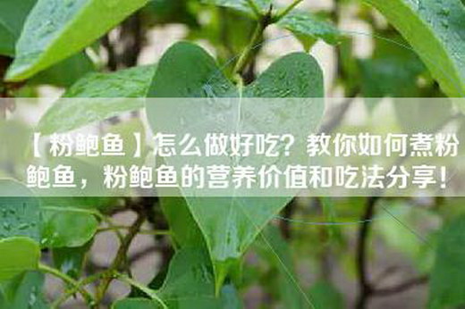 【粉鲍鱼】怎么做好吃？教你如何煮粉鲍鱼，粉鲍鱼的营养价值和吃法分享！