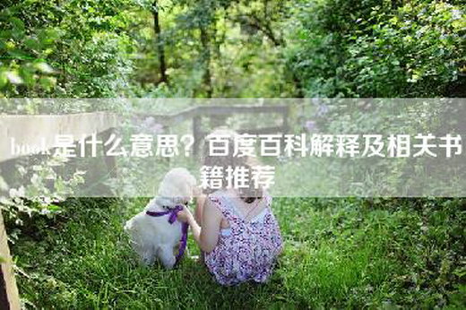 book是什么意思？百度百科解释及相关书籍推荐
