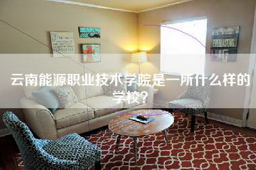 云南能源职业技术学院是一所什么样的学校？