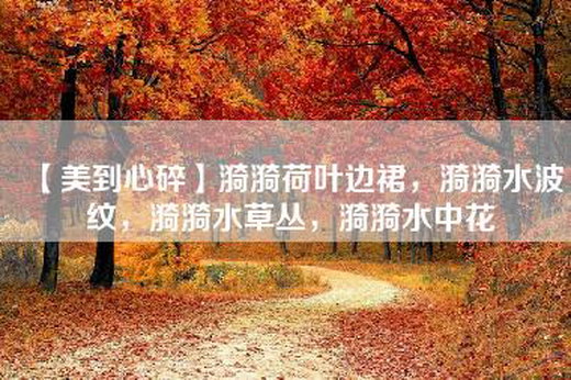 【美到心碎】漪漪荷叶边裙，漪漪水波纹，漪漪水草丛，漪漪水中花
