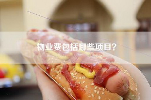 物业费包括哪些项目？