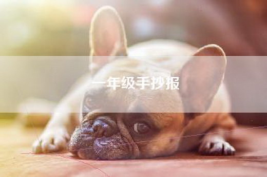 一年级手抄报
