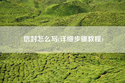 信封怎么写(详细步骤教程)