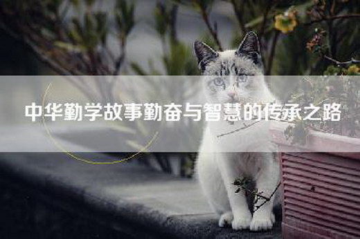 中华勤学故事勤奋与智慧的传承之路