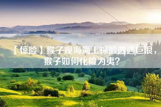 【惊险】猴子观海海上探险遭遇巨浪，猴子如何化险为夷？