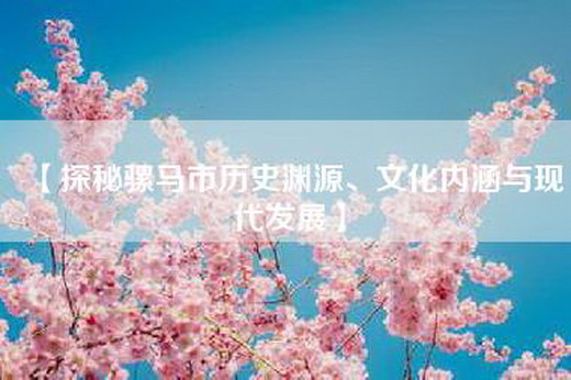【探秘骡马市历史渊源、文化内涵与现代发展】