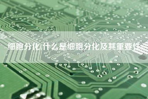 细胞分化(什么是细胞分化及其重要性)