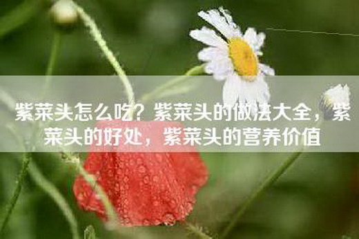 紫菜头怎么吃？紫菜头的做法大全，紫菜头的好处，紫菜头的营养价值