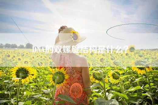 DNA的双螺旋结构是什么？
