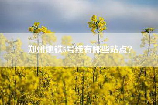 郑州地铁5号线有哪些站点？