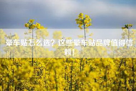 晕车贴怎么选？这些晕车贴品牌值得信赖！