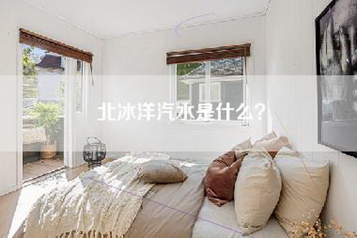 北冰洋汽水是什么？