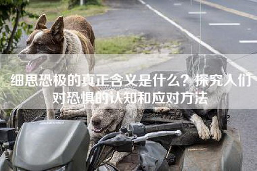 细思恐极的真正含义是什么？探究人们对恐惧的认知和应对方法