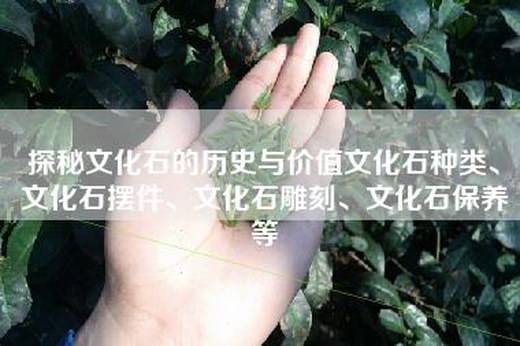 探秘文化石的历史与价值文化石种类、文化石摆件、文化石雕刻、文化石保养等