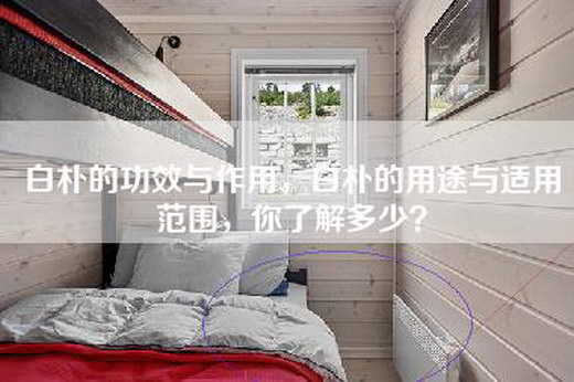 白朴的功效与作用，白朴的用途与适用范围，你了解多少？