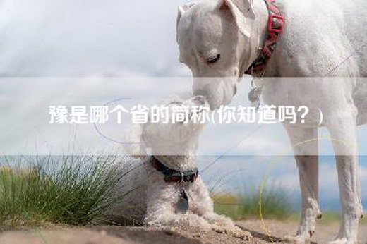 豫是哪个省的简称(你知道吗？)