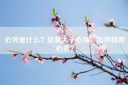 心死是什么？哀莫大于心死，如何拯救心灵？