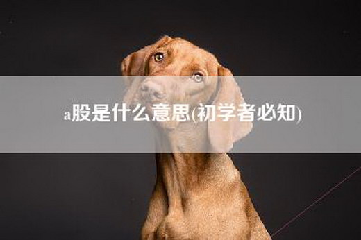 a股是什么意思(初学者必知)