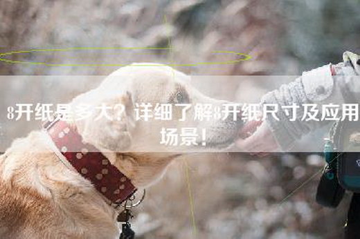 8开纸是多大？详细了解8开纸尺寸及应用场景！