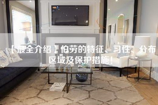 【最全介绍】伯劳的特征、习性、分布区域及保护措施！