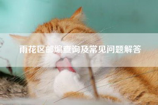 雨花区邮编查询及常见问题解答