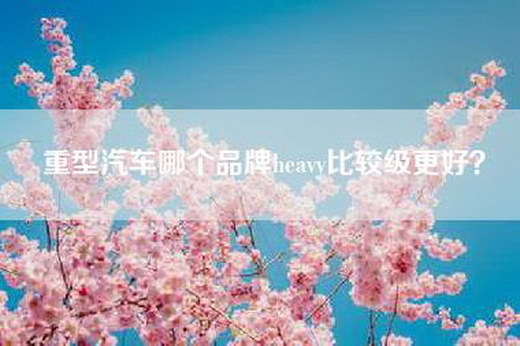 重型汽车哪个品牌heavy比较级更好？