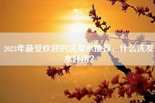 2023年最受欢迎的洗发水推荐，什么洗发水好用？