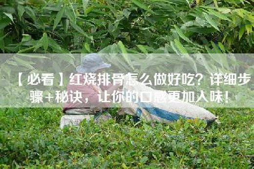 【必看】红烧排骨怎么做好吃？详细步骤+秘诀，让你的口感更加入味！