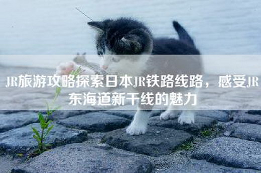 JR旅游攻略探索日本JR铁路线路，感受JR东海道新干线的魅力