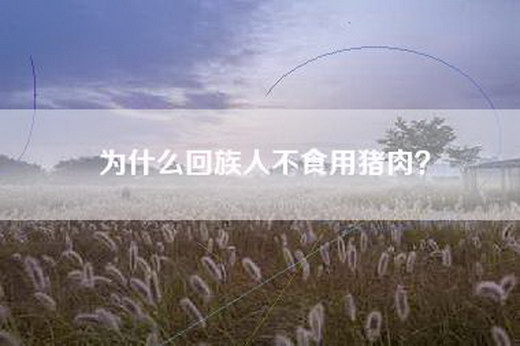 为什么回族人不食用猪肉？